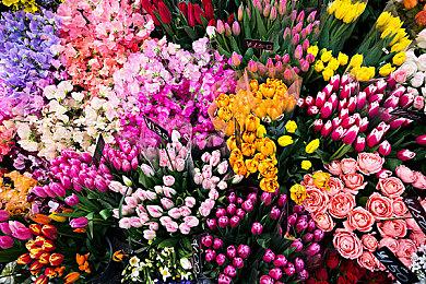 《战神5》高能回顾宣传片 跟随动画书了解前作的故事